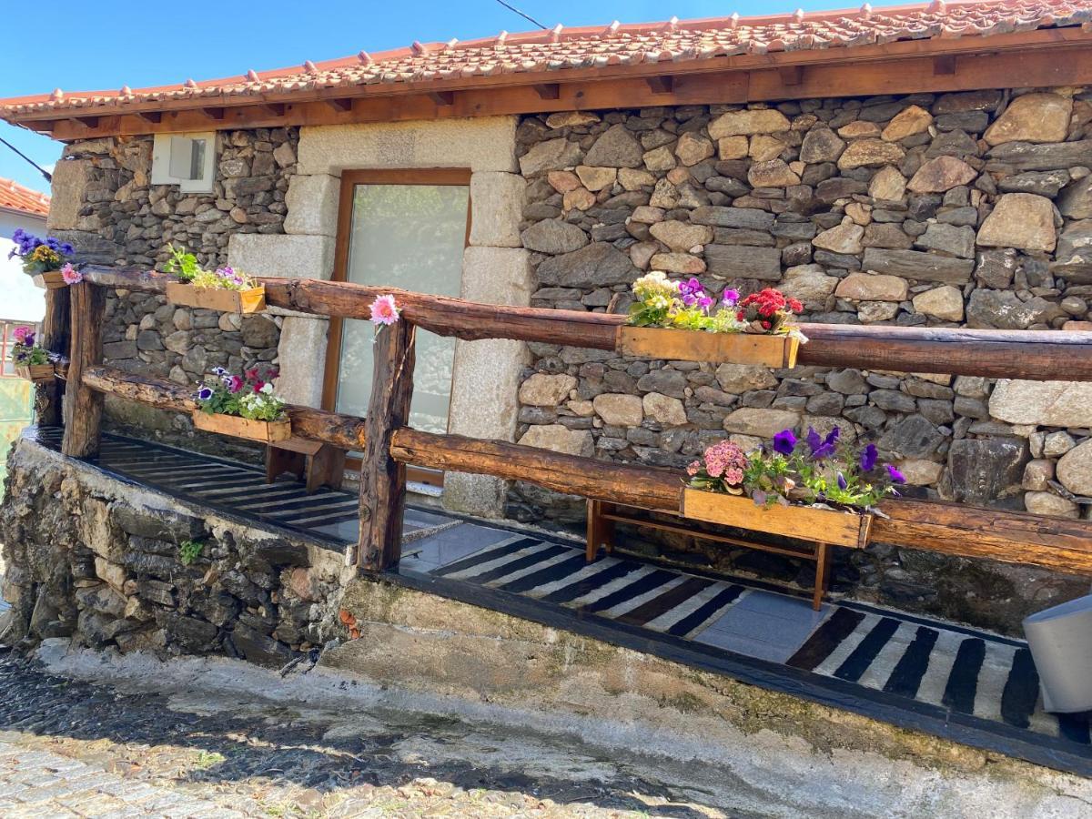 Casa Das Flores Lamego Extérieur photo